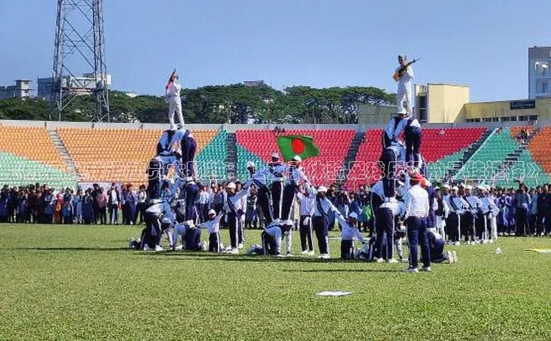 j9九游真人游戏第一品牌登录入口百度学术《乐高足球运动员大颗粒：让孩子体验足球乐趣的最佳选择》