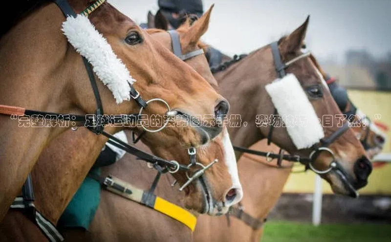 J9九游会老哥俱乐部如流“完整解析：足球运动员的姿势图示手册，赛场技巧一目了然！”