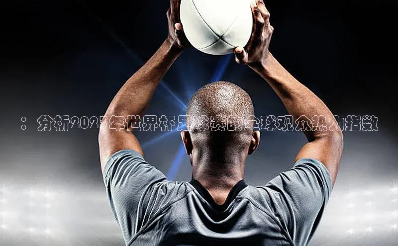 ：分析2023年世界杯足球赛的全球观众热力指数