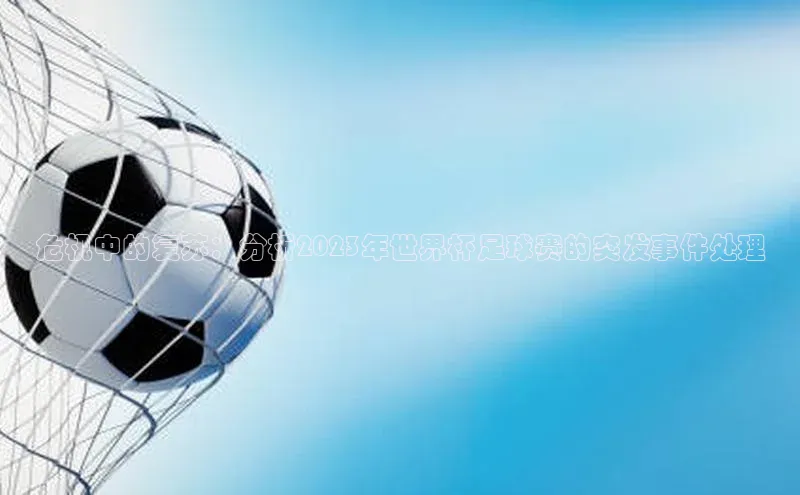 危机中的复苏：分析2023年世界杯足球赛的突发事件处理
