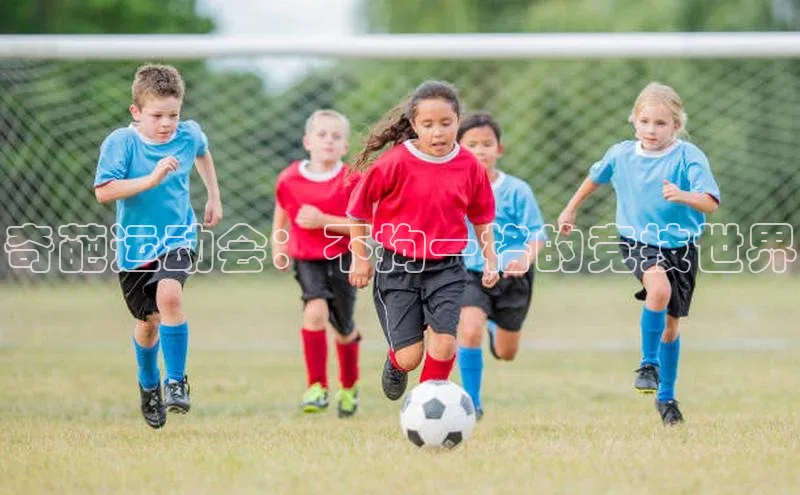 奇葩运动会：不拘一格的竞技世界