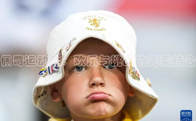 佩奇运动会：欢乐与挑战的完美结合