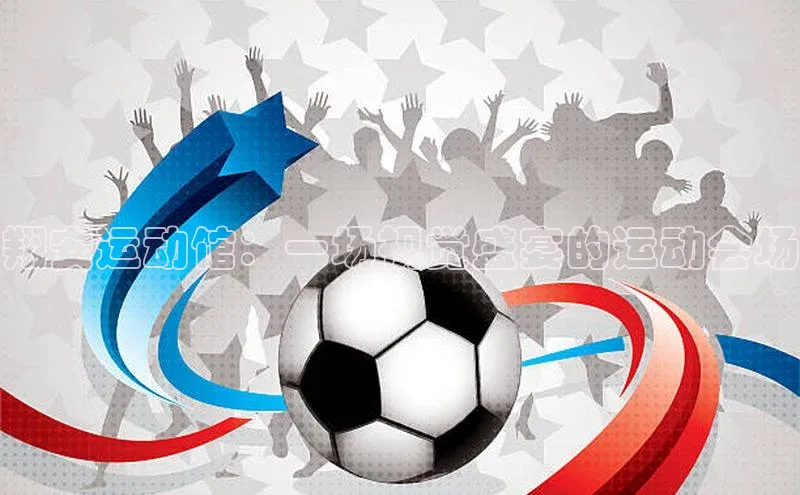 翔安运动馆：一场视觉盛宴的运动会场