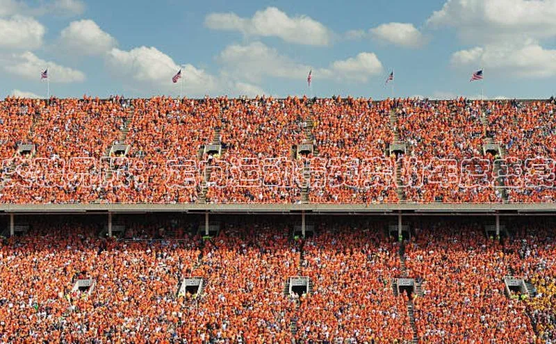 突破界限：定向运动精英赛的年度盛宴