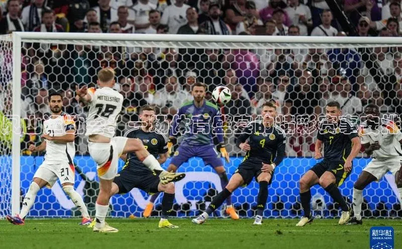 凤山运动会：一场体育盛宴的精彩赛事安排