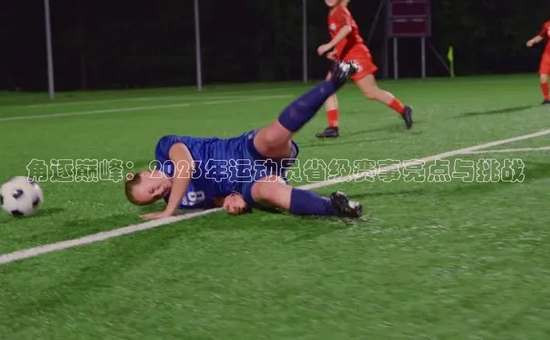角逐巅峰：2023年运动员省级赛事亮点与挑战