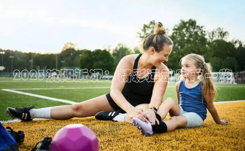 2023沈阳近况：精彩运动赛事一览