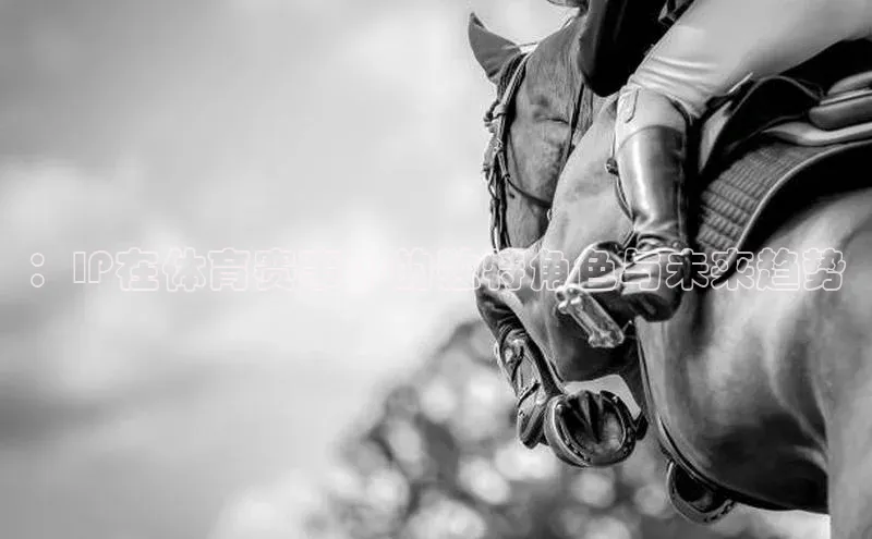 ：IP在体育赛事中的独特角色与未来趋势