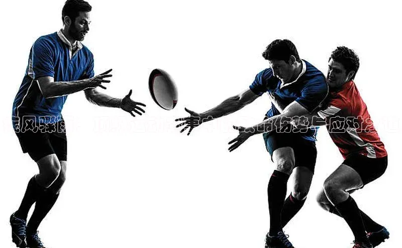 j9九游会真人第一品牌