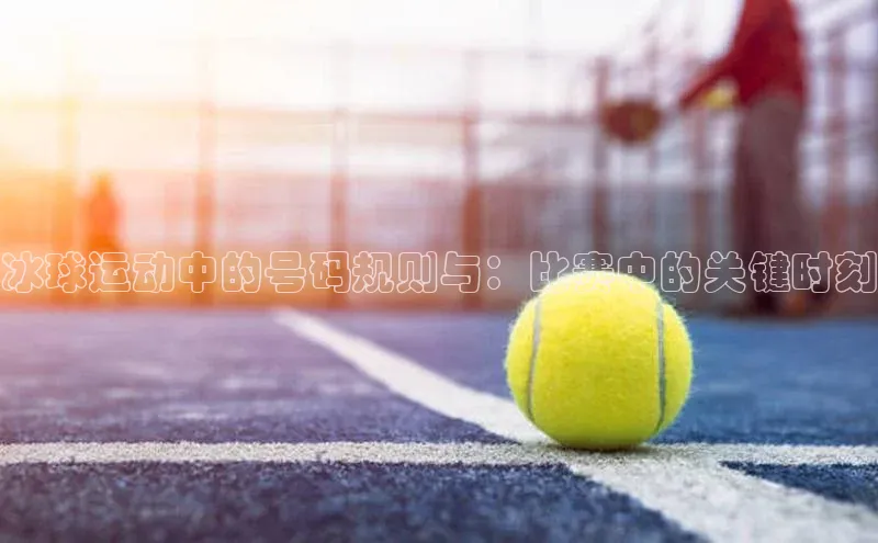 j9九游会登录入口首页旧版