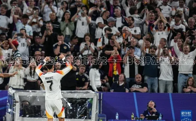 九游会j9官网登录入口