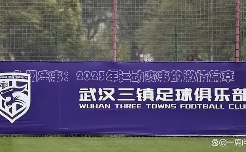 永州盛事：2023年运动赛事的激情篇章